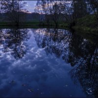 Фиолетовый вечер :: Наталья Rosenwasser