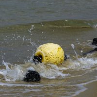 Тест нового поляризационного фильтра. :: Alexander Amromin