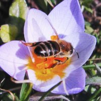 Насыщается :: Людмила Смородинская Насыщается :: Людмила Смородинская