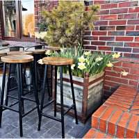 ********* :: Валерия Комова