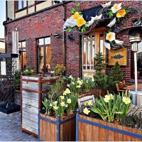 Весна в городе. :: Валерия Комова