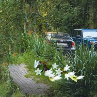 Необычная стоянка :: Владимир Кроливец Необычная стоянка :: Владимир Кроливец