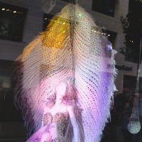 Витрина :: Алёна Савина