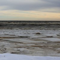 Зеленогорск :: Наталья Герасимова