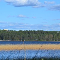 Берег Сайма-озера. :: Надежда Берег Сайма-озера. :: Надежда