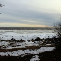 Зеленогорск :: Наталья Герасимова