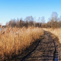 Весна на Смоленщине (репортаж из поездок по области). :: Милешкин Владимир Алексеевич 
