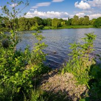 Ясным днём... :: Николай Гирш