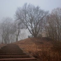 *** :: Сергей Григорьев *** :: Сергей Григорьев