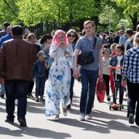 парочка :: Олег Лукьянов парочка :: Олег Лукьянов