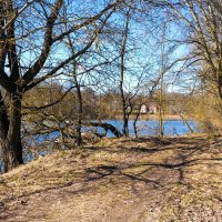 Природа в конце марта (репортаж из поездок по области). :: Милешкин Владимир Алексеевич 