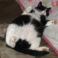 Кайф :: Людмила Смородинская