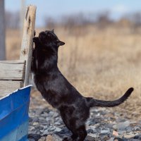 Разминка ... :: Евгений Хвальчев