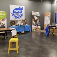 ГАГАРИНСКИЕ_КОШКИ_1 :: Сергей Янович Микк