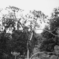 Название отсутствует :: Денис Безногов