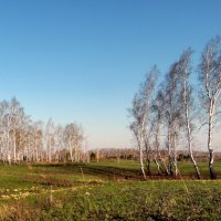 Весенний ветер. :: nadyasilyuk Вознюк Весенний ветер. :: nadyasilyuk Вознюк