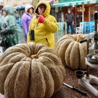 Тыква :: skijumper Иванов