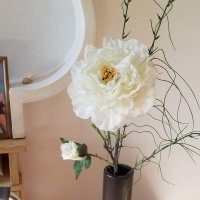 Искусственные цветы :: Светлана Хращевская Искусственные цветы :: Светлана Хращевская