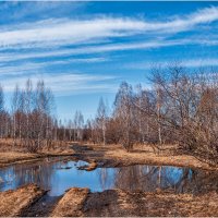Весеннее небо в весенних лужах :: Алексей Мезенцев
