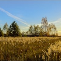 Осенний вечер :: Валентин Котляров