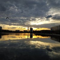Вариации на тему одного с позолотой  вечера на городском пруду. Не проезжать же было мимо :: Андрей Лукьянов