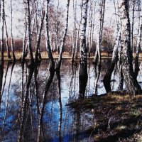 Утонули берёзки :: Людмила Смородинская Утонули берёзки :: Людмила Смородинская