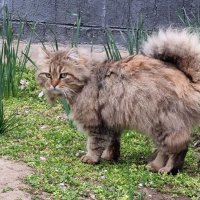 Шел по делам :: Наталья 