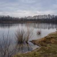Вечерним часом... :: Николай Гирш Вечерним часом... :: Николай Гирш