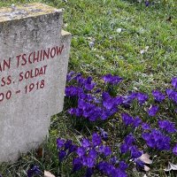 ... :: "The Natural World" Александер