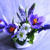 Нежность весны :: Людмила Смородинская