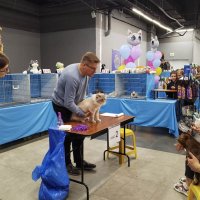 ГАГАРИНСКИЕ_КОШКИ_20 :: Сергей Янович Микк ГАГАРИНСКИЕ_КОШКИ_20 :: Сергей Янович Микк