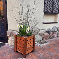 На улочках Светлогорска. :: Валерия Комова На улочках Светлогорска. :: Валерия Комова