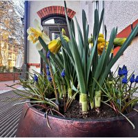 На улочках Светлогорска. :: Валерия Комова На улочках Светлогорска. :: Валерия Комова