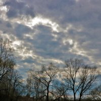 Мартовское небо :: Светлана Мартовское небо :: Светлана