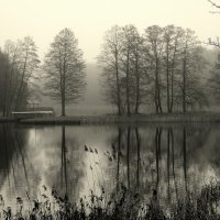 *** :: Aleksandr Gal