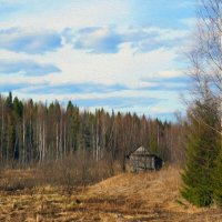 Баня на берегу ручья :: Сергей Ц