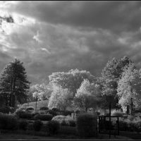 В парке... :: Николай Гирш