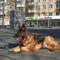 Перекур после тренировки :: ИриШка Перекур после тренировки :: ИриШка