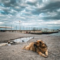 Смотрящий пляжа :: Татьяна Аникина