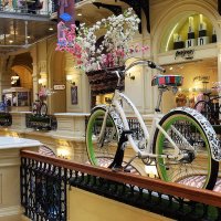 У каждого велосипеда свой неповторимый дизайн. :: Татьяна Помогалова