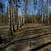 Тема с вариацией :: Андрей Лукьянов Тема с вариацией :: Андрей Лукьянов