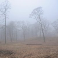 *** :: Сергей Григорьев *** :: Сергей Григорьев