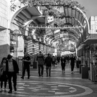 Мамилла :: Eugene * Мамилла :: Eugene *