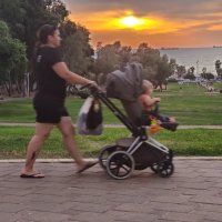 На закате солнца :: Светлана Хращевская На закате солнца :: Светлана Хращевская