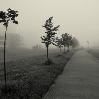Утро.. :: Aleksandr Gal