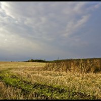 Сжатое поле :: **** vedin