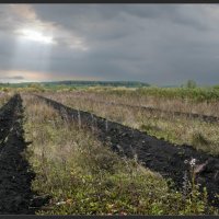 Осень :: **** vedin