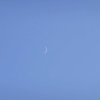 Растущая Луна :: Валерий Иванович