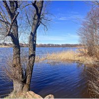 Апрель. :: Валерия Комова Апрель. :: Валерия Комова