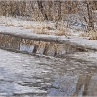 Апрель... :: Aquarius - Сергей